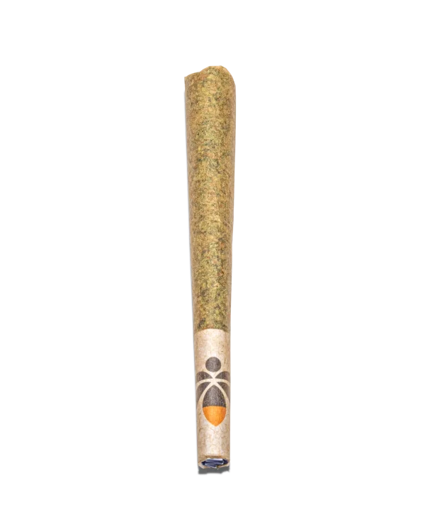 HASH PRE ROLLS UK