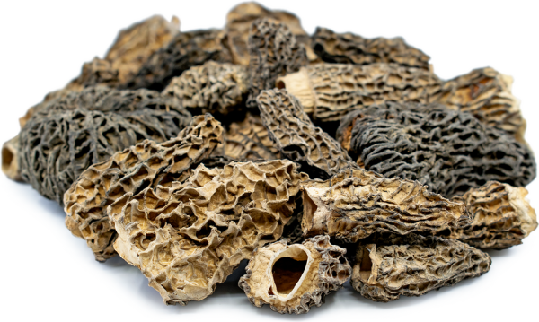 MOREL DRIED MUSHROOM UK