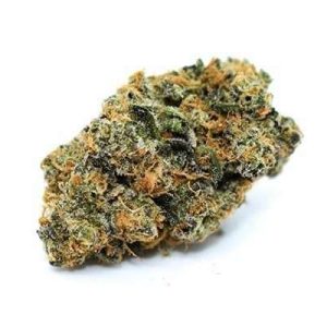 Blue J Marijuana Strain UK