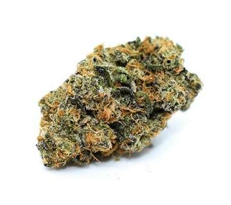 Blue J Marijuana Strain UK