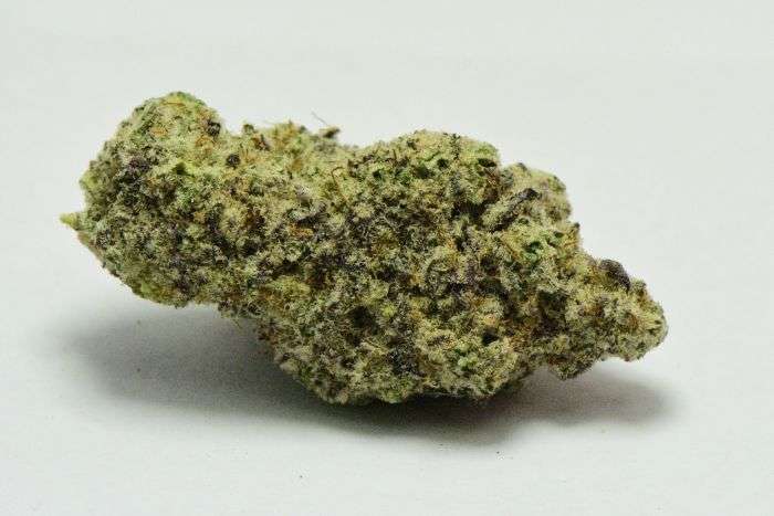 Purple MAC Cannabis Strain