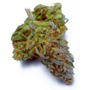 Purple Punch Weed Strain