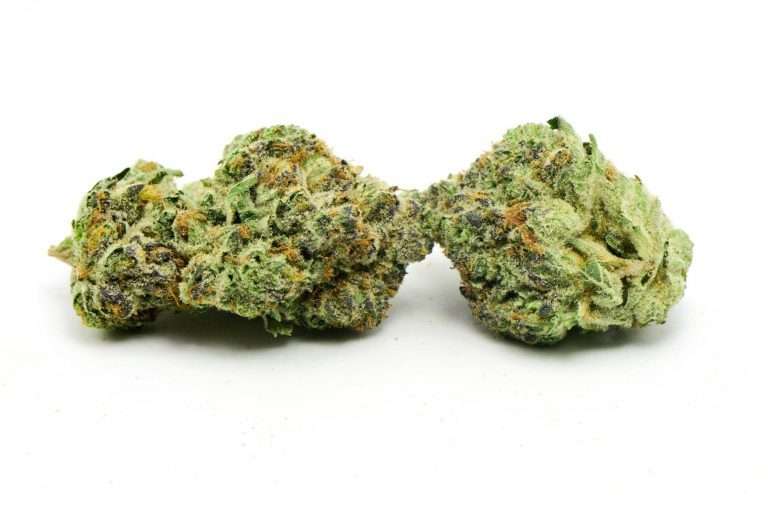 Rockstar Punch Hybrid Marijuana