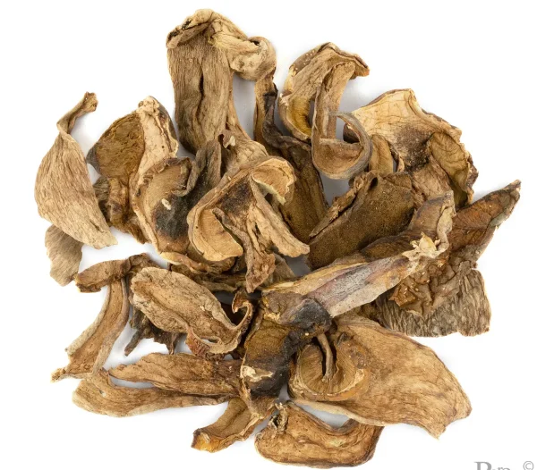 PORCINI DRIED MUSHROOM UK